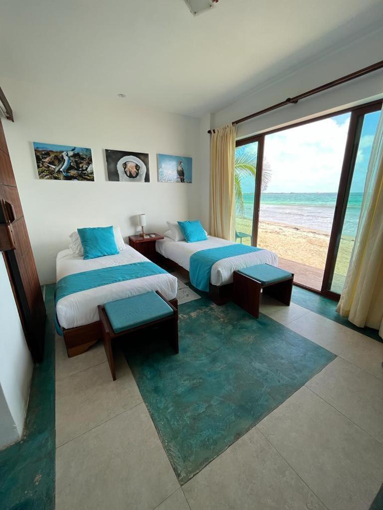 Cormorant Beach House Bed & Breakfast Puerto Villamil Ngoại thất bức ảnh